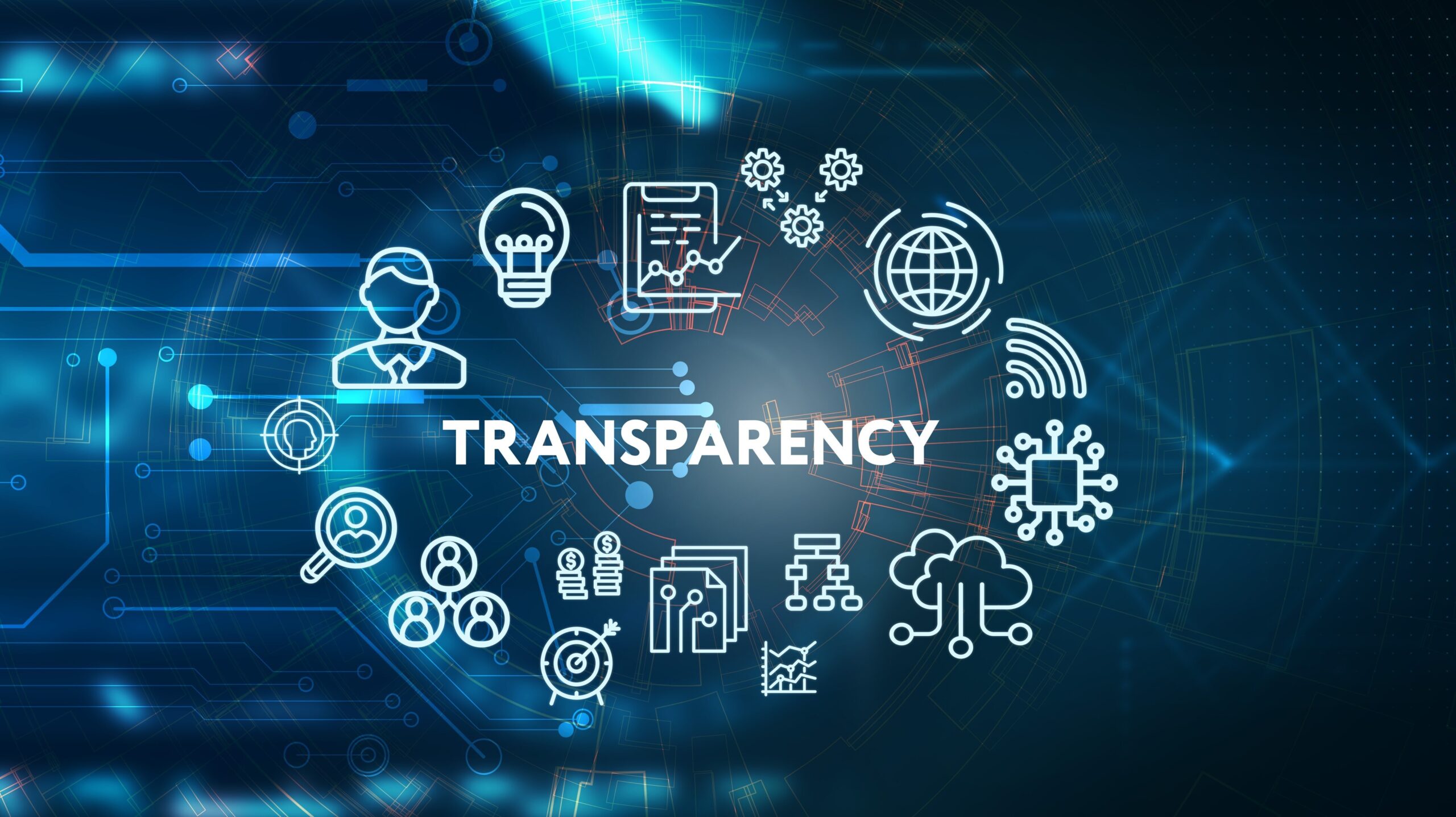 10 becoming a digital payer enabling business transparency
